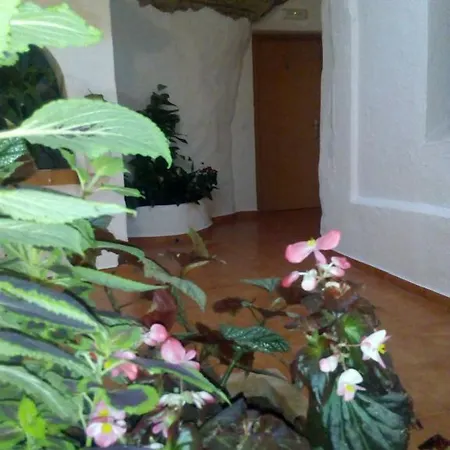 Pensión Batato 3*