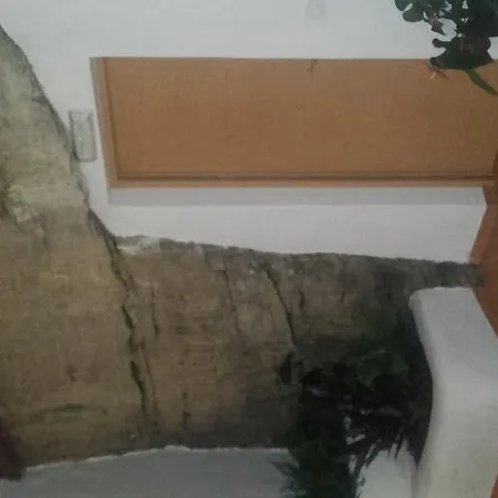 Batato Vejer de la Frontera